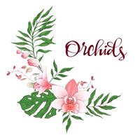 Floral design ram. Orchid, eukalyptus, grönska. Bröllopskort. vektor