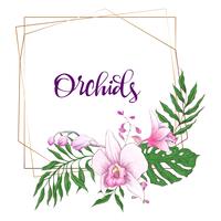 Floral design geometrisk ram. Orchid, eukalyptus, grönska. Bröllopskort. vektor