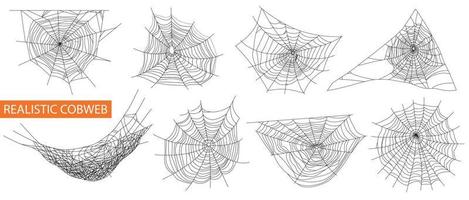 Spinnennetz realistisches Set vektor