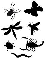 skalbaggar och insekter silhuett