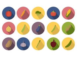 Gemüse-Icon-Set. halbierte Zutatensammlung Rüben, Mais, Kürbis, Pilze, Tomaten, Zucchini, Ingwer. vektor