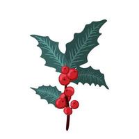 Weihnachtsstechpalmenbeere, grünes Blatt, rote Beere, Äste, Zweige. Vektorwinterillustration lokalisiert auf weißem Hintergrund für Weihnachtskarten und dekoratives Design. vektor