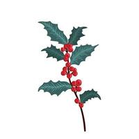 juljärnekbärset, gröna blad, röda bär, grenar, kvistar. vektor vinter illustration isolerad på vit bakgrund för julkort och dekorativ design.