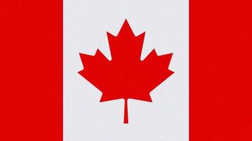 den kanadensiska nationella flaggan med cirkel vågmönster bakgrund. vektor