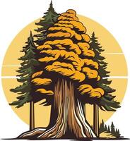 majestätisch Redwood Baum Illustration vektor