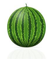 vattenmelon mogen saftig vektor illustration