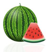 vattenmelon mogen saftig vektor illustration
