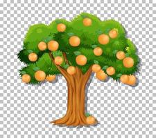 Orangenbaum auf Gitterhintergrund vektor