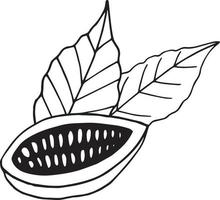 kakaoböna hälften med blad handritad doodle. koncept ikon logotyp sammansättning för designetikett, meny, klistermärke. matväxt vektor