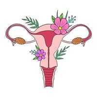 livmoder. skönhet kvinnliga reproduktionssystem med blommor. handritad livmoder, livmodern kvinnliga reproduktiva könsorgan och blommor. illustration. vektor