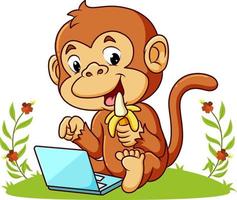 Der Affe isst die Banane und spielt mit dem Laptop vektor