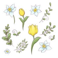 Set Blumen Tulpen. Handzeichnung Vektor-Illustration vektor