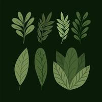sieben grüne Blätter vektor