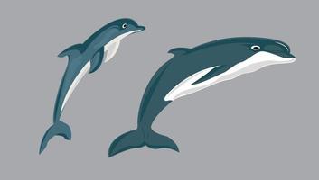 Delphin Illustration Delphin im Cartoon vektor
