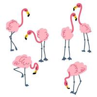 handgezeichnete rosa flamingo-sammlung. vektor