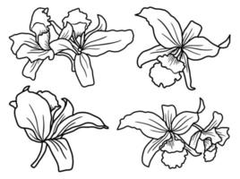 Blumen Strichzeichnungen Aarangement vektor