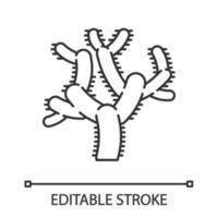Teddybär Cholla Kaktus lineares Symbol. Zylindropuntie. Kakteen mit zylindrischen Gelenken. amerika gebürtige tropische pflanze. dünne Linie Abbildung. Kontursymbol. Vektor isolierte Umrisszeichnung. bearbeitbarer Strich