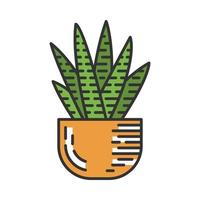 zebra kaktus i kruka färg ikon. haworthia. liten suckulentväxt. huskaktusar. afrikansk exotisk flora. isolerade vektor illustration