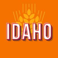 Idaho Vintage 3D-Vektor-Schriftzug. Retro-fette Schriftart, Schriftart. Stilisierter Text der Pop-Art. Neonlichtbuchstaben im alten Schulstil. 90er, 80er Jahre Poster, Banner-Typografie-Design. Weizenähren Karottenfarbe Hintergrund vektor