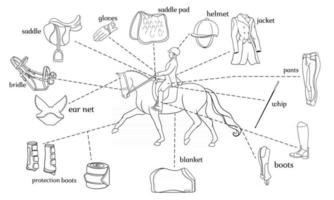 hästsportinfografik hästsele och ryttarutrustning i mitten av en ryttare på en häst vektor