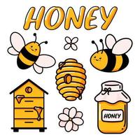 Set aus süßer Biene, leckerem gesundem Honig, Glas, Bienenstöcken, Blumen und Textvektorillustrationen doodle. handgezeichnete farbige trendige vektorillustration im karikatur vektor