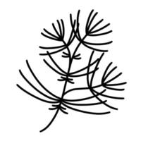 tall gren vektor ikon. handritad illustration isolerad på vit bakgrund. kvist med törnegravyr. botanisk skiss. monokromt koncept, barrträd. siluett av en vild växt.