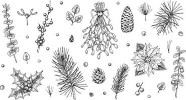 Satz handgezeichnete Weihnachtspflanzen isoliert auf weißem Hintergrund. Weihnachtsdekorationselemente. Vektorillustration im Skizzenstil vektor