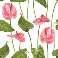 anthurium. sömlöst blommönster med rosa glansiga blommor och anthuriumblad. tropiska mönster på en vit bakgrund. lager vektorillustration. vektor