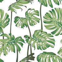 Monstera-Blätter. nahtloses tropisches Muster mit exotischen Blättern. helles und sommerliches Muster mit Monstera auf weißem Hintergrund. exotisches botanisches Muster. Aktienvektorillustration. vektor