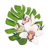 Bouquet von tropischen Blumen. Monstera-Blätter mit rosa Cymbidium-Orchideenblüten. Floristik für Hochzeiten. Vektor-Lager-Illustration isoliert auf weißem Hintergrund. vektor