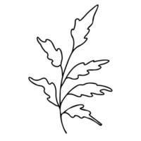 gren med löv. vektor illustration.linear doodle element för design och inredning.