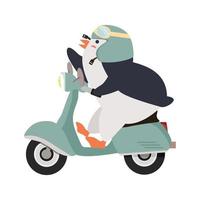 süßer Pinguin auf Motorradvektor vektor