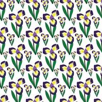 Irisblume und Blätter nahtloses Musterdesign mit weißem Hintergrund vektor
