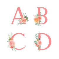 Rosa alfabetet florals uppsättning, persika och apelsinpionblommor buketter vintage, Design för bröllopsinbjudan, fira äktenskap, Tack kort dekoration vektor illustration.