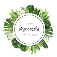 Ideen-Bauernhof des grünen Gemüse-Aquarellplakats organischer Menü, gesundes organisches Design, Aquarellkartendesign-Vektorillustration vektor