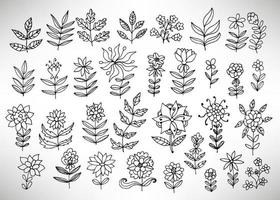 stor uppsättning handritad tunn linje svart grungy doodle blommiga ikoner, grenar, växter, kronblad, fantasiblommor. designelement samling isolerad på vitt. vektor