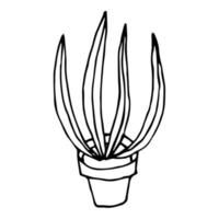Cartoon-Pflanze im Topf isoliert auf weißem Hintergrund. Hausblume im Doodle-Stil. vektor