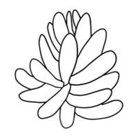 söt doodle saftig blomma isolerad på vit bakgrund. tecknad växt ikon. buske isolerad. vektor