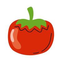 röd tomat grönsak vektor
