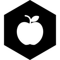 apple icon design vektor