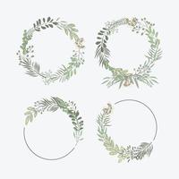 set samling av hand ritning cirkel ram botaniska grönska vektor