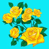 Blommor rosor, knoppar och gröna blad. Roses Set collection. rosikon och symbol vektor