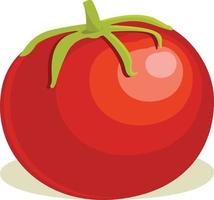 frischer Tomaten-Gemüse-Vektor vektor