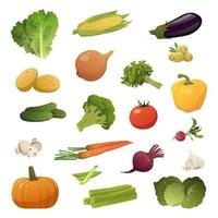 set med 20 stycken olika grönsaker på en vit bakgrund - vektor