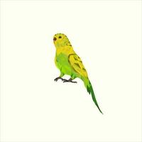 fågel papegoja polygonal logotyp vektor