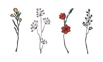 vektor blommiga grenar och blommor. blommiga löv och grenar för minimalistisk kortdesign