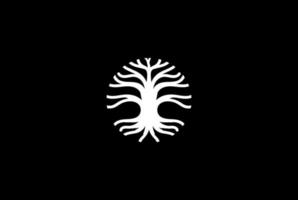 enkel minimalistisk design av rot ek banyan tree logotyp vektor