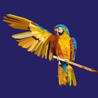 låg poly gul papegoja, ara fågel vektorillustration. vektor