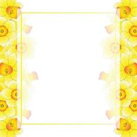 gul påsklilja - narcissus banner kort kant vektor