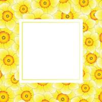 gul påsklilja - narcissus banner kort vektor